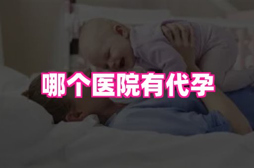海口助孕网站 2
