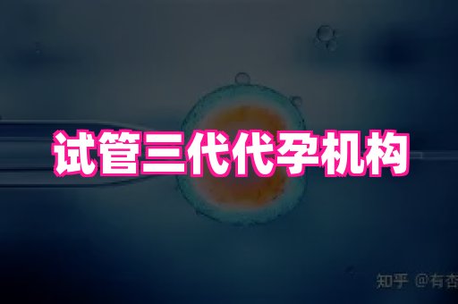 海口助孕网站 3